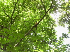 008_8.JPG