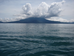 DSC01772