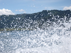 DSC01777