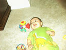 raphael
