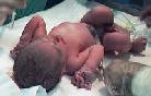 Baby11-big.JPG