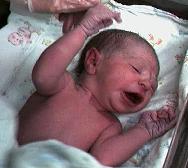 Baby12-small.JPG