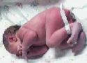 Baby9-big.JPG