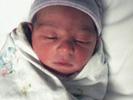 Baby14