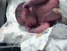 Baby6