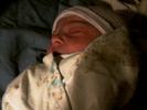 Baby7