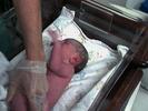 Baby8