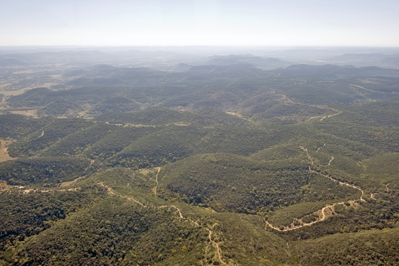 Original image
