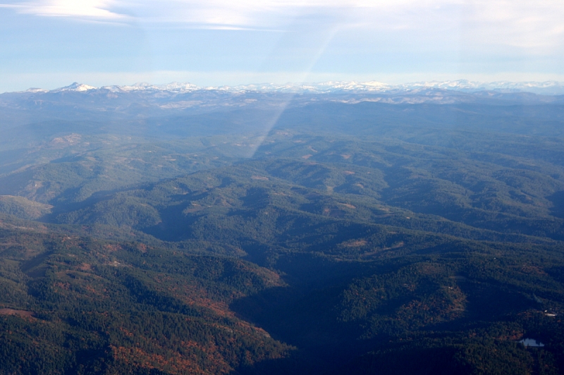 Original image