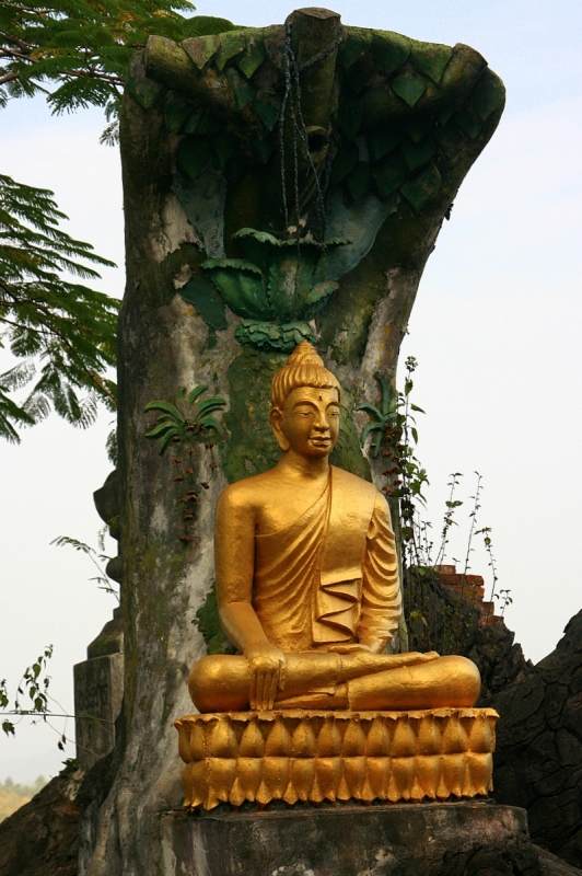 Original image