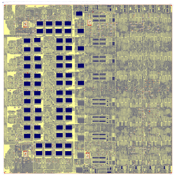 TRIPS Chip Plot